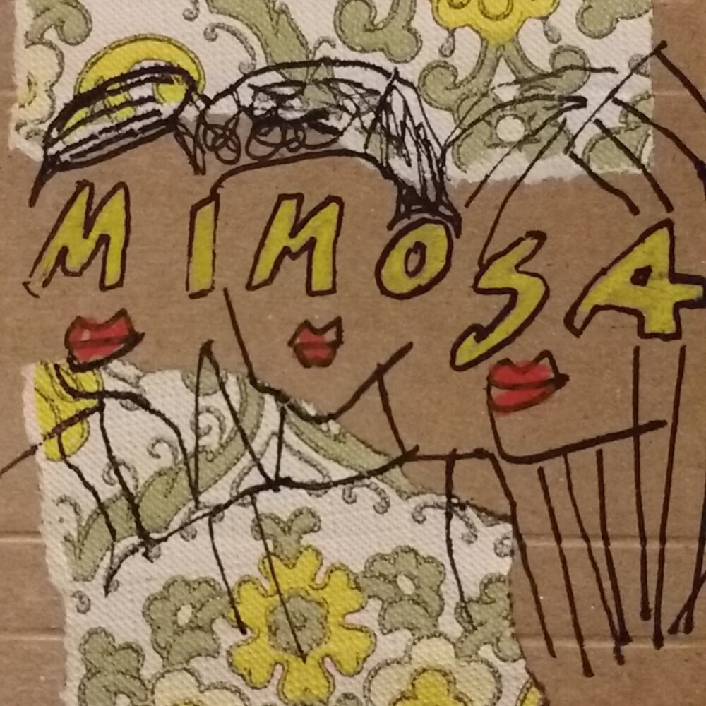 Picture of Mimosa