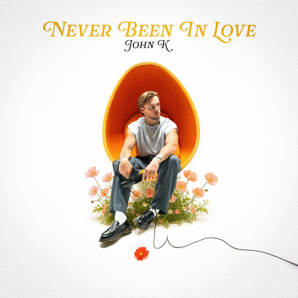 Album cover of Never Been In Love