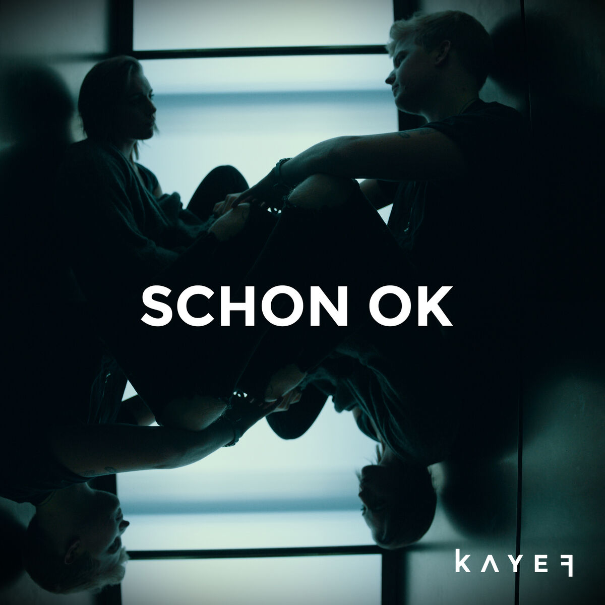 Album cover of Schon ok