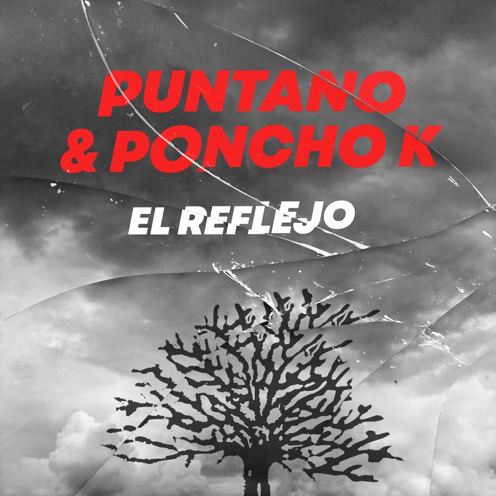Picture of El Reflejo