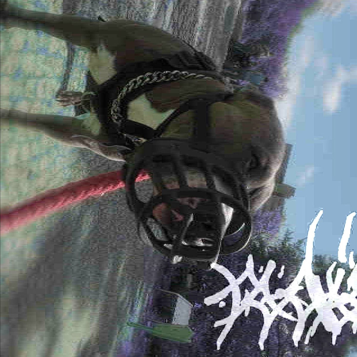 Album cover of schmetterlinge fangen