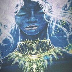 Cover of Elevation