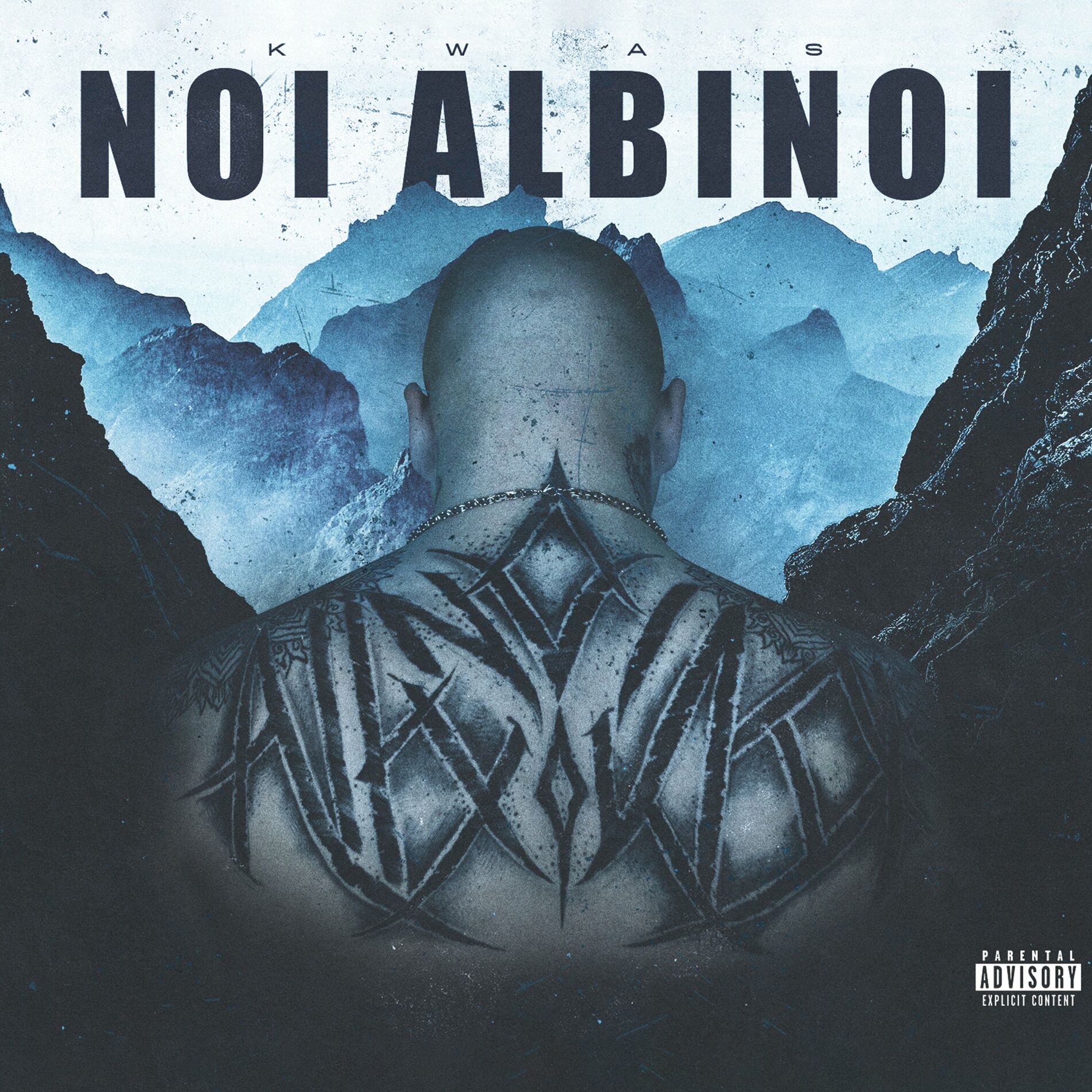 Album cover of Noi Albinoi