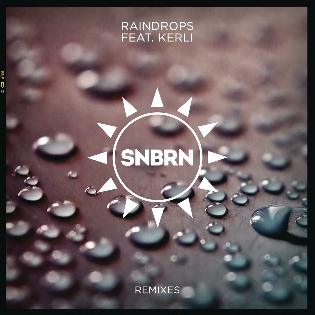 Album cover of Raindrops (feat. Kerli)