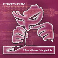 Cover of House / Jungle Life