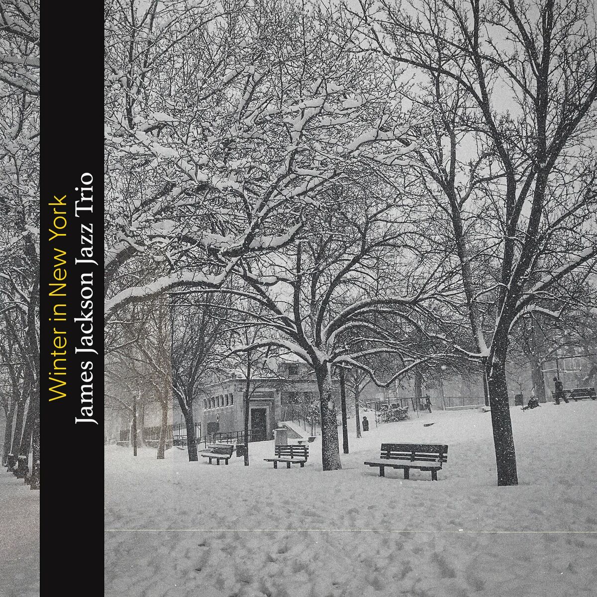 Album cover of Winter in New York