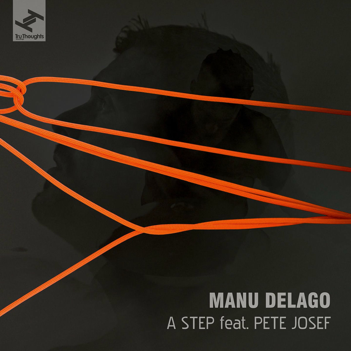 Album cover of A Step