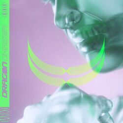 Cover of Dragon Chaser