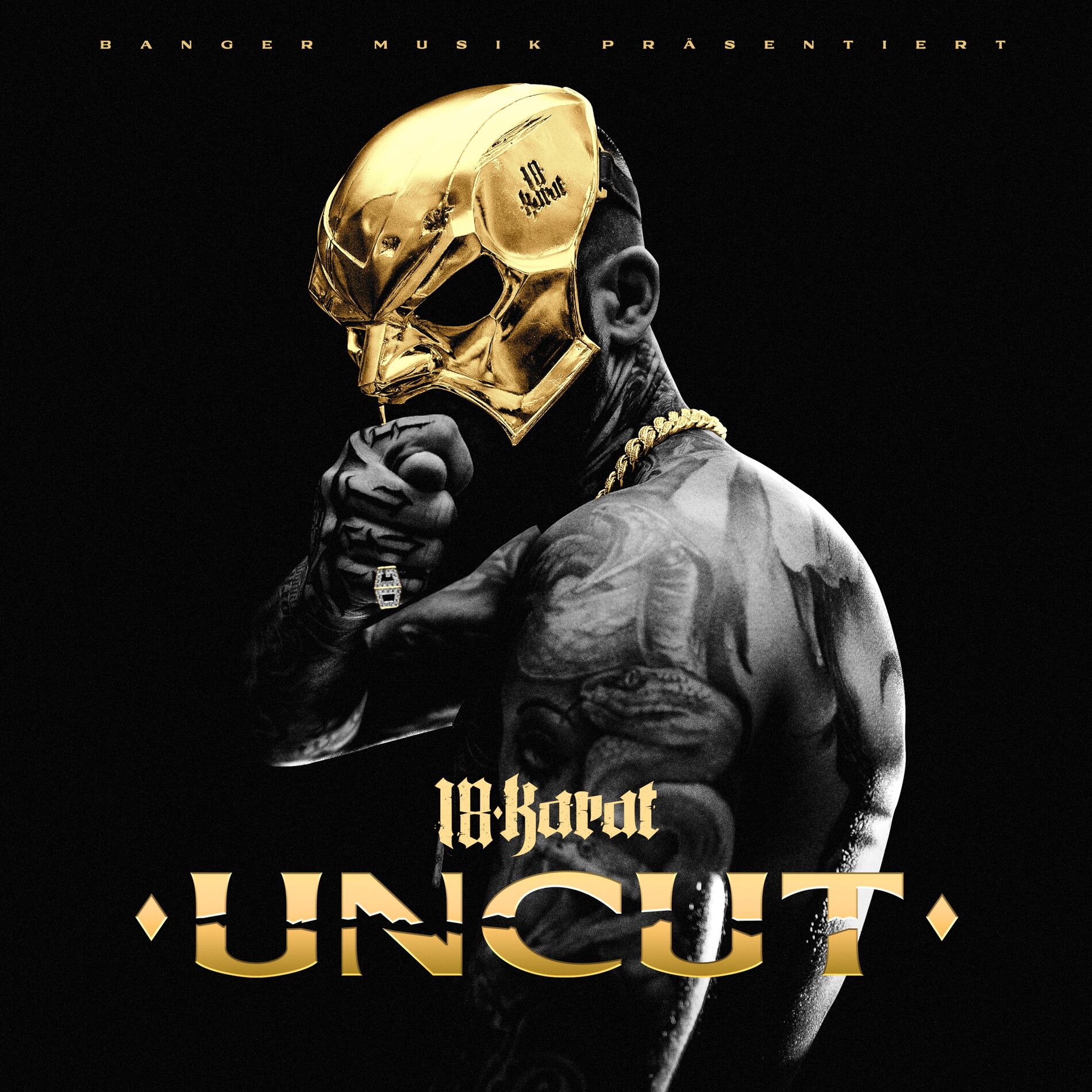 Album cover of KEHRSEITE DER MEDAILLE