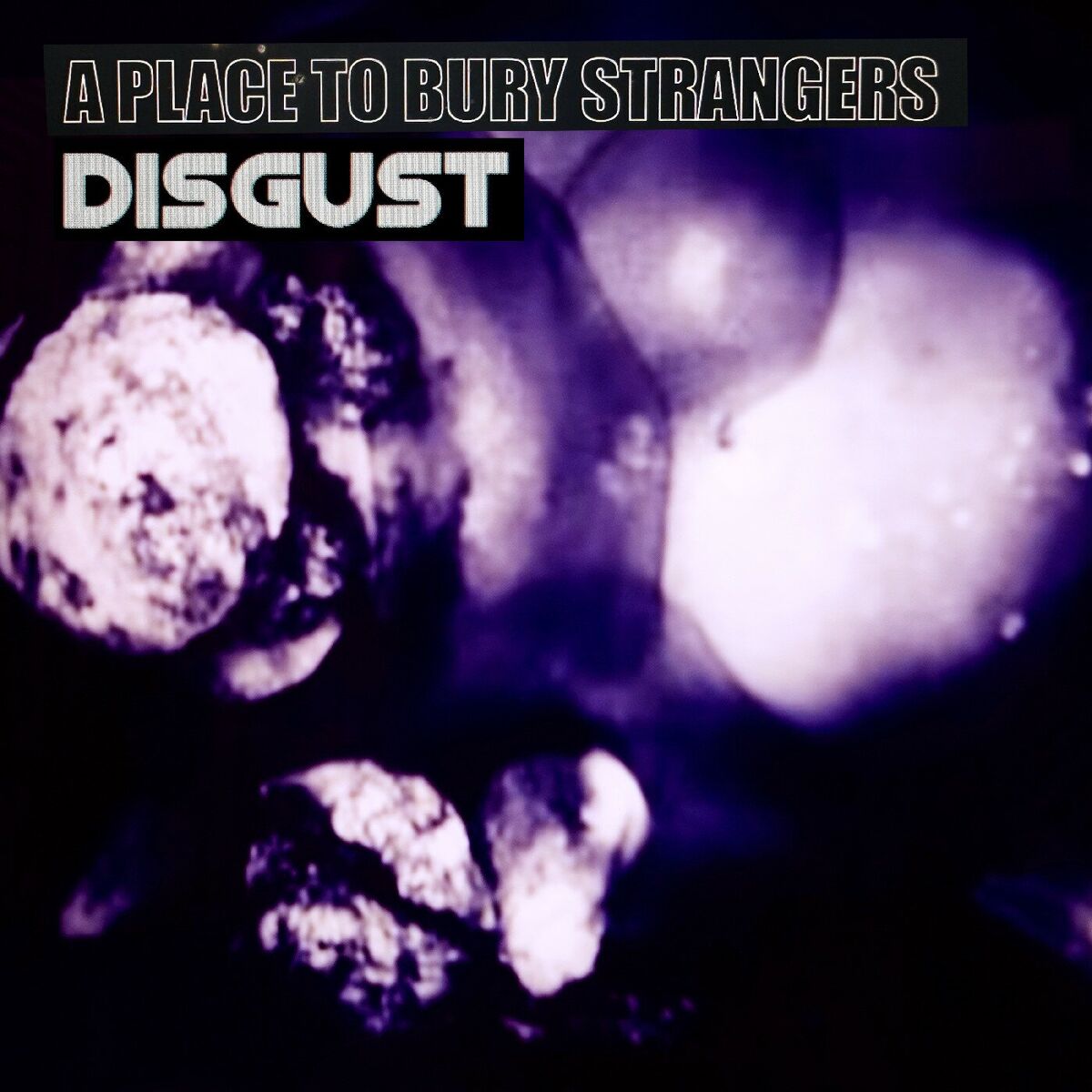 Album cover of Disgust