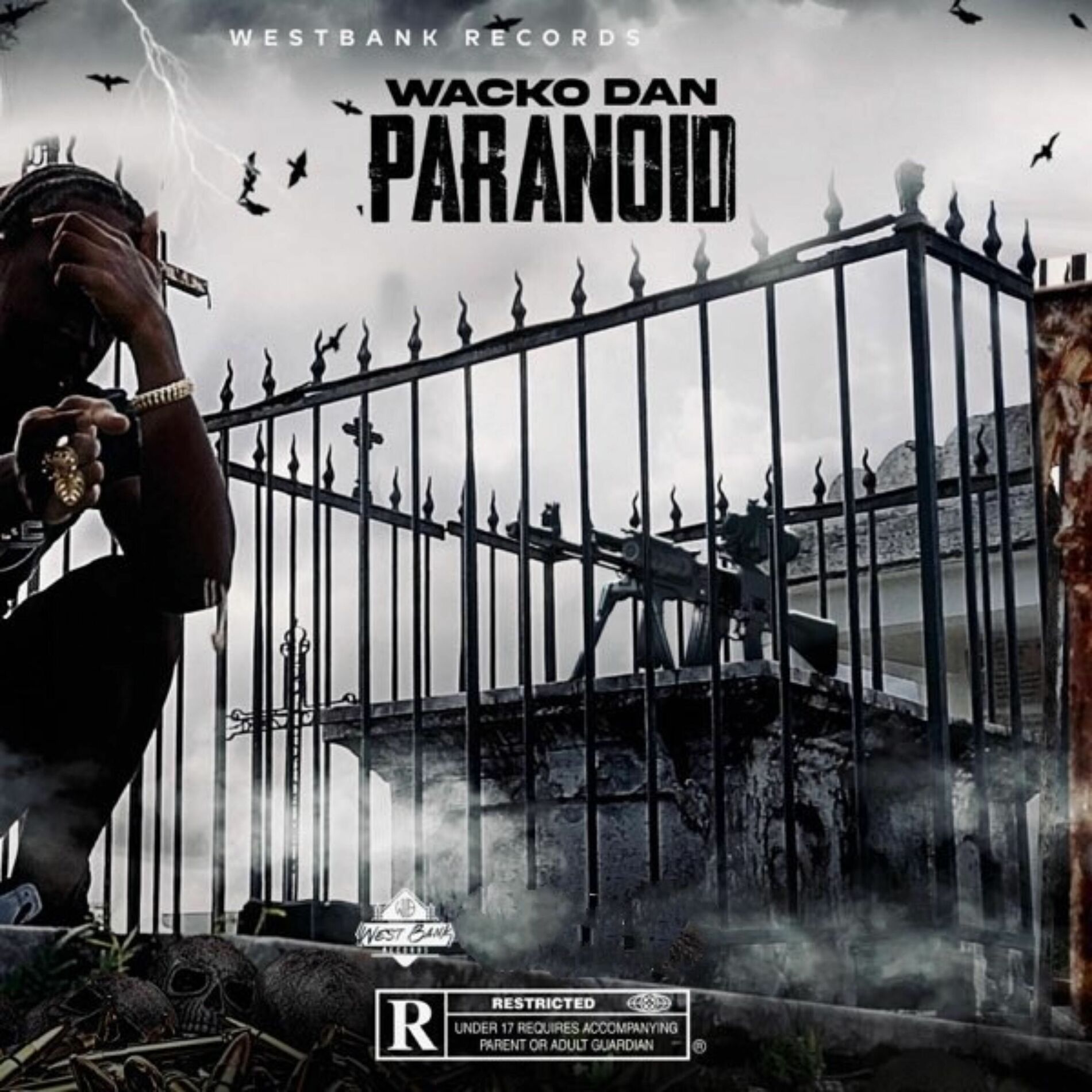 Album cover of Paranoid