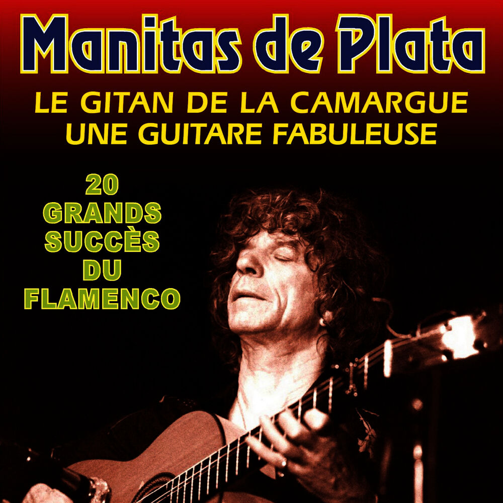 Picture of 20 Grands Succes Du Flamenco