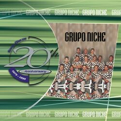 Cover of 20th Anniversary