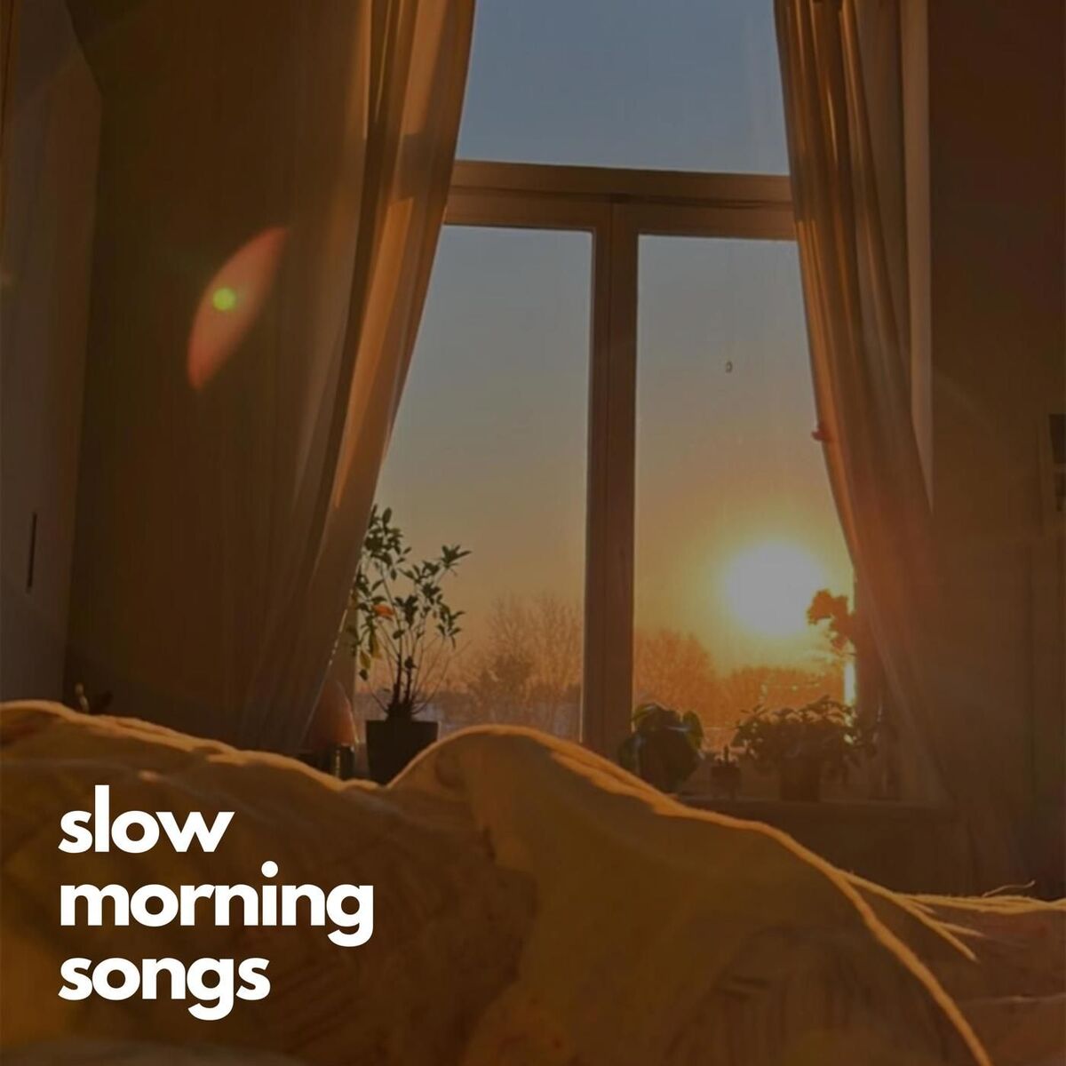 Album cover of slow morning songs