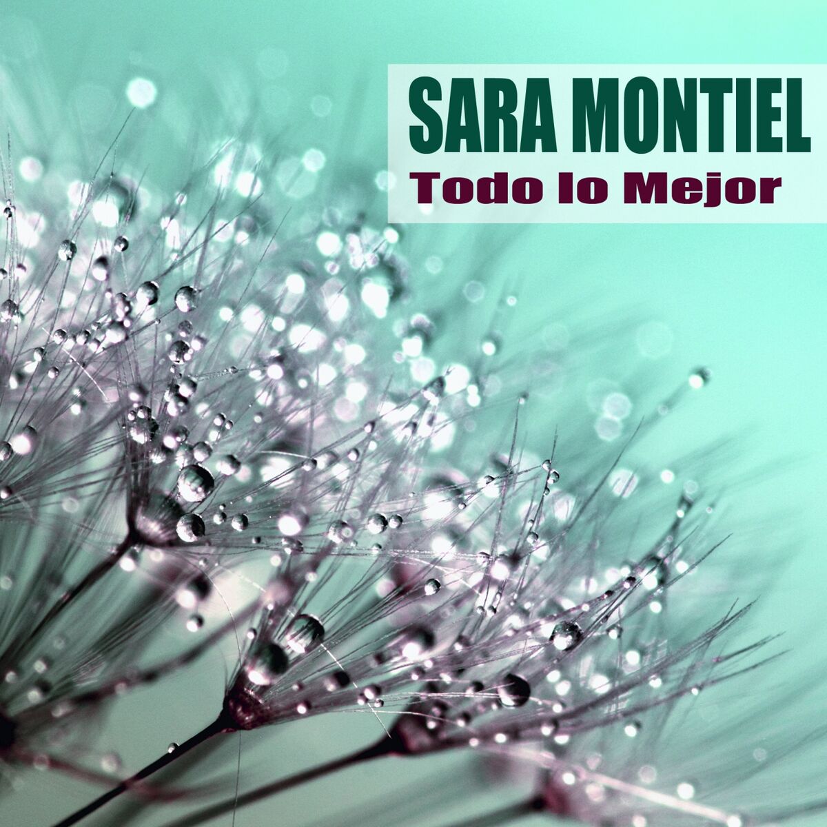 Album cover of Todo lo Mejor (Remasterizado)
