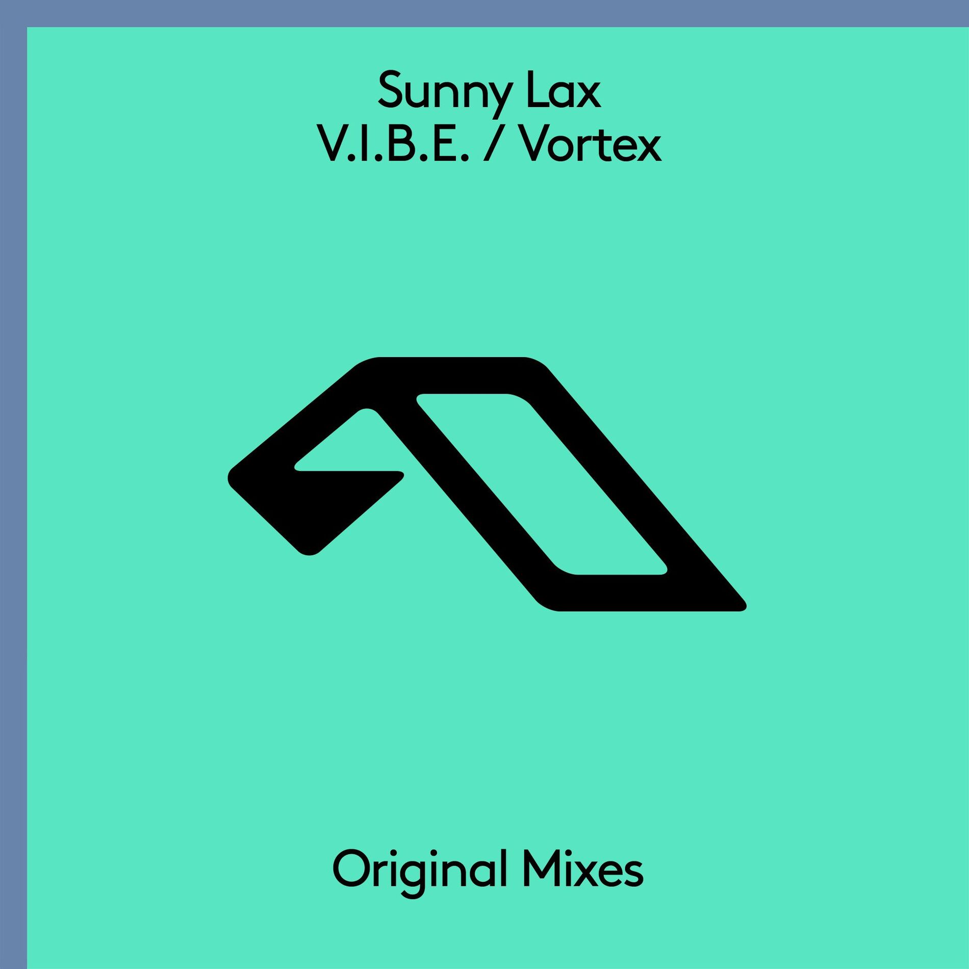 Album cover of V.I.B.E.