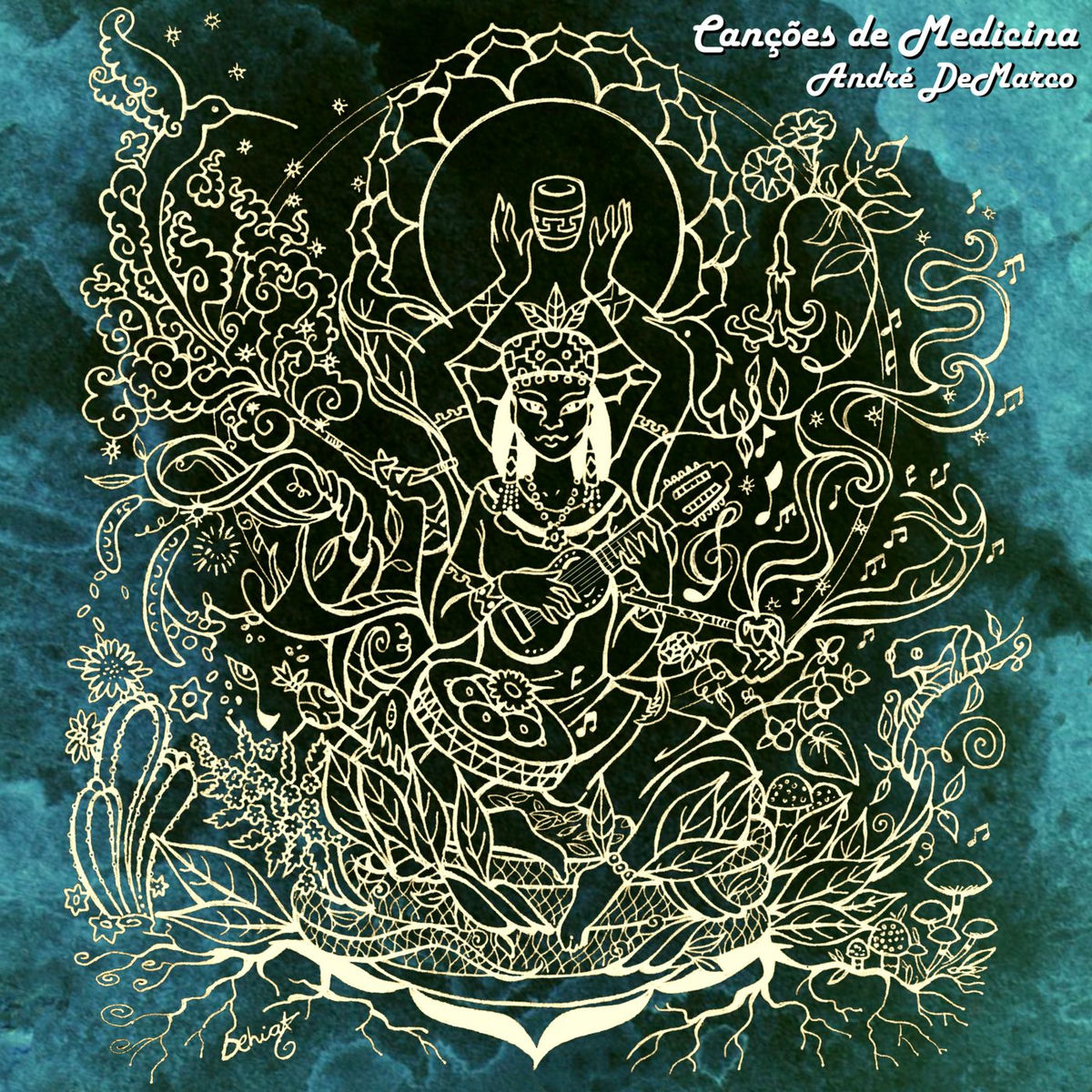 Album cover of Canções de Medicina