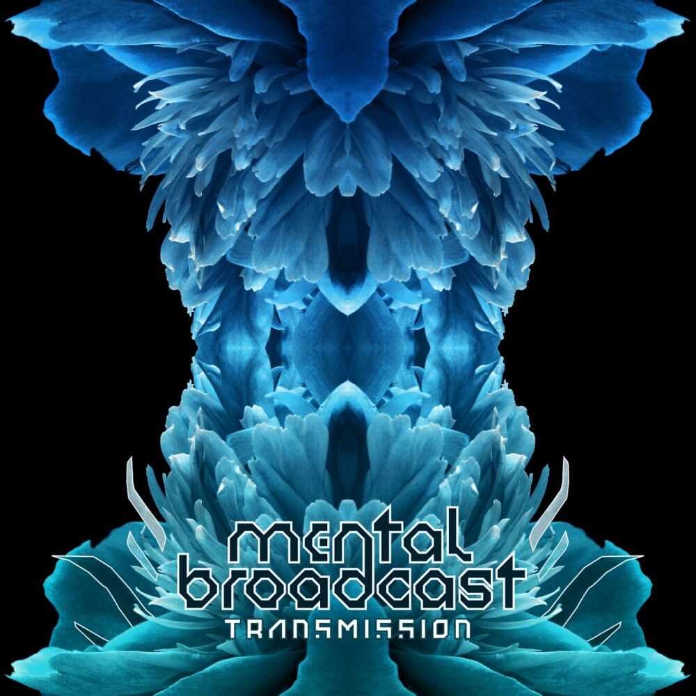 Picture of Transmission