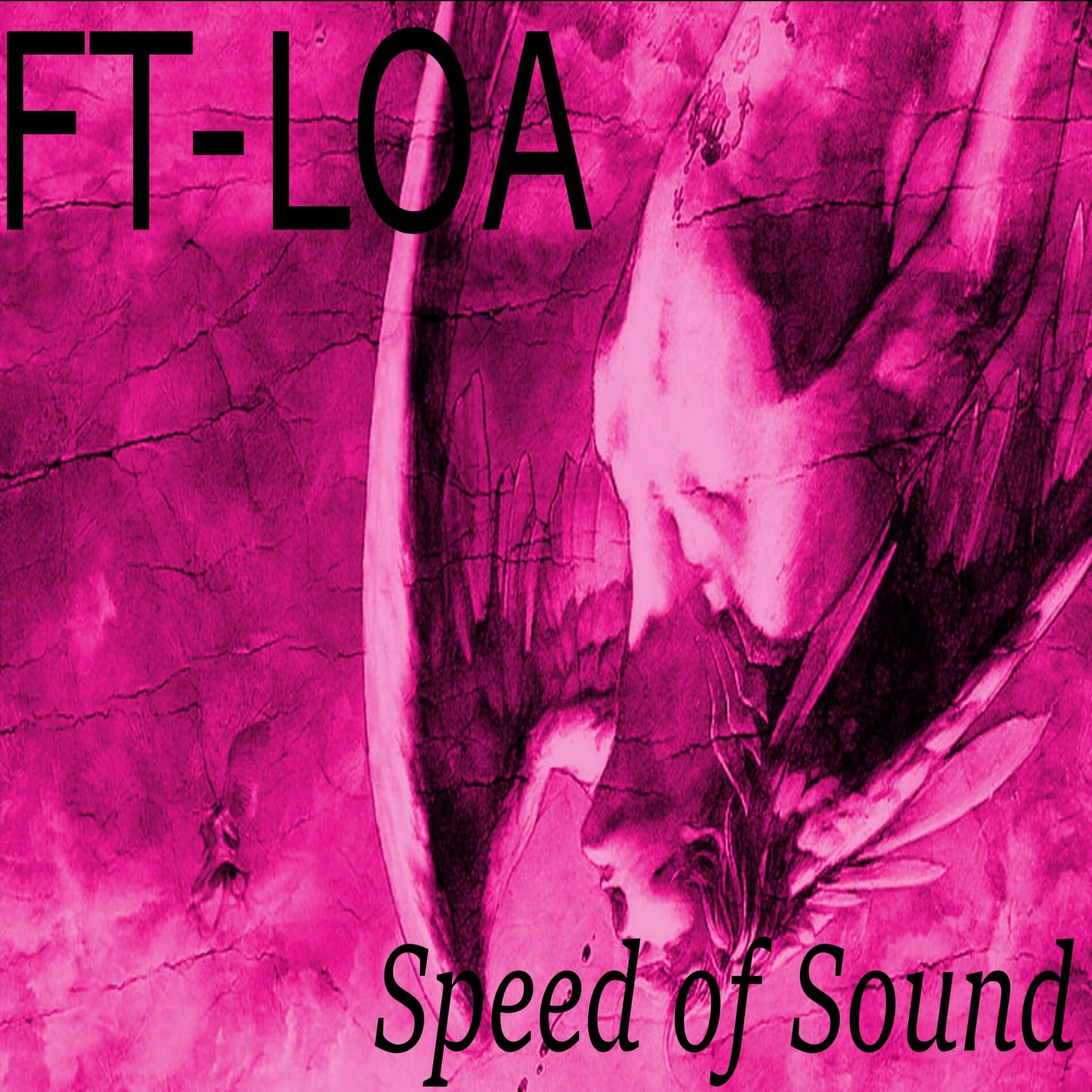 Album cover of Speed of Sound by FT-LOA