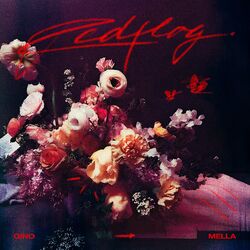 Cover of Red Flag