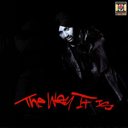 Cover of The Way It Is