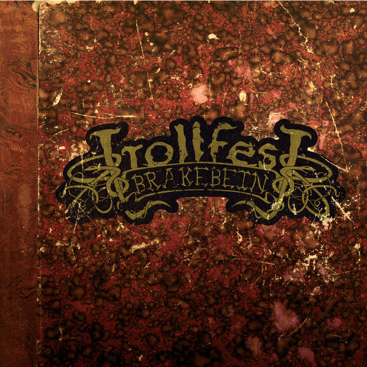 Album cover of Brakebein
