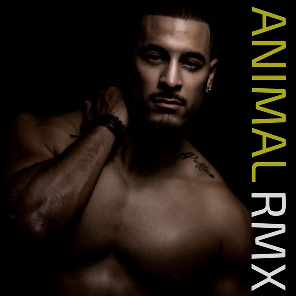 Picture of Animal (Thombs Rmx)