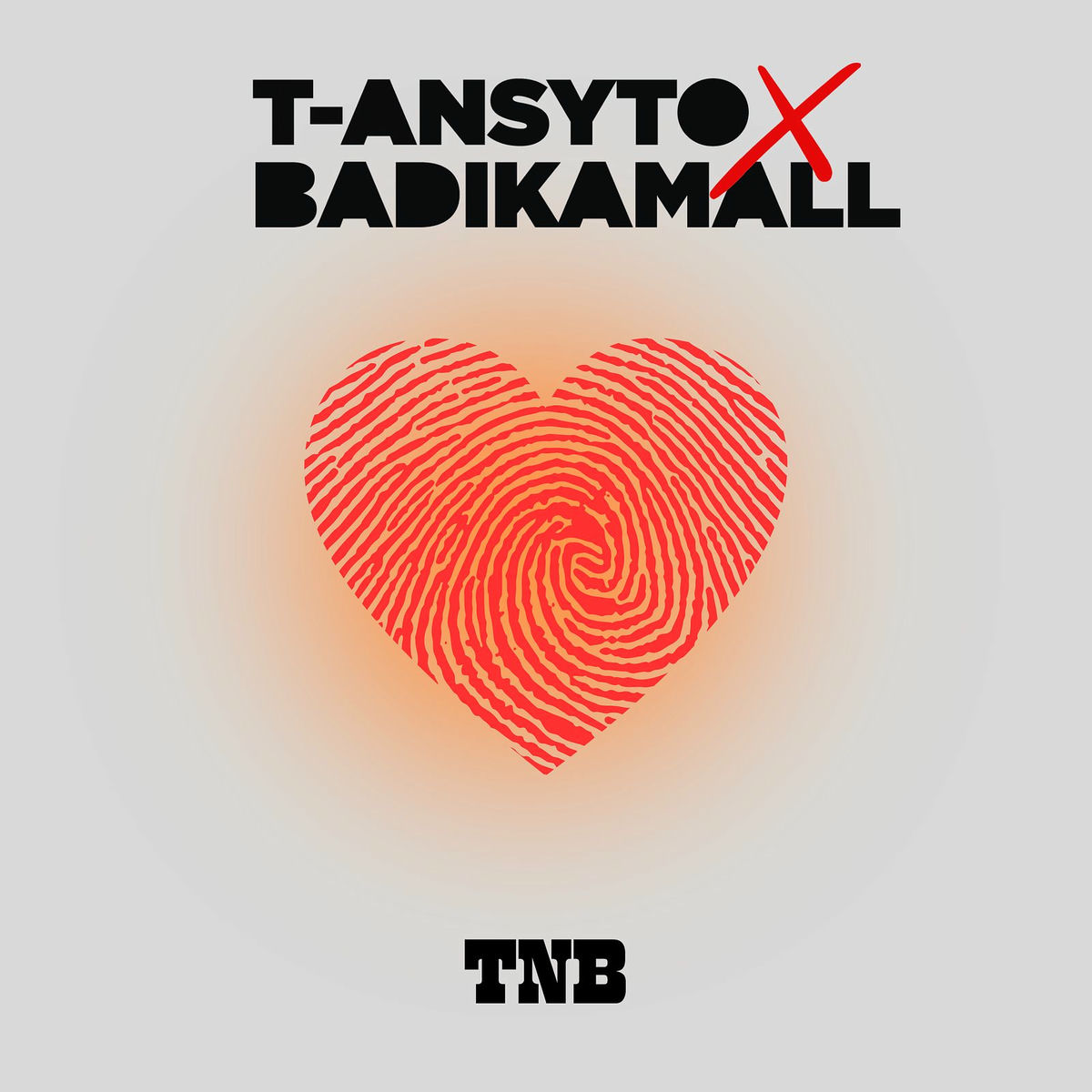 Album cover of Tnb