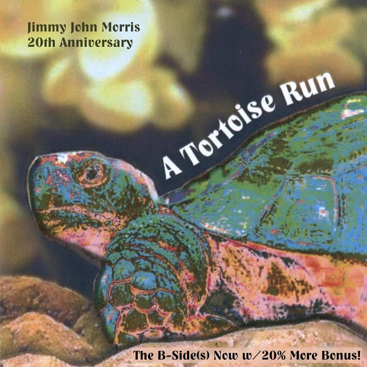 Album cover of A Tortoise Run (20th Anniversary the B-Side(S) Now W/20% More Bonus!)