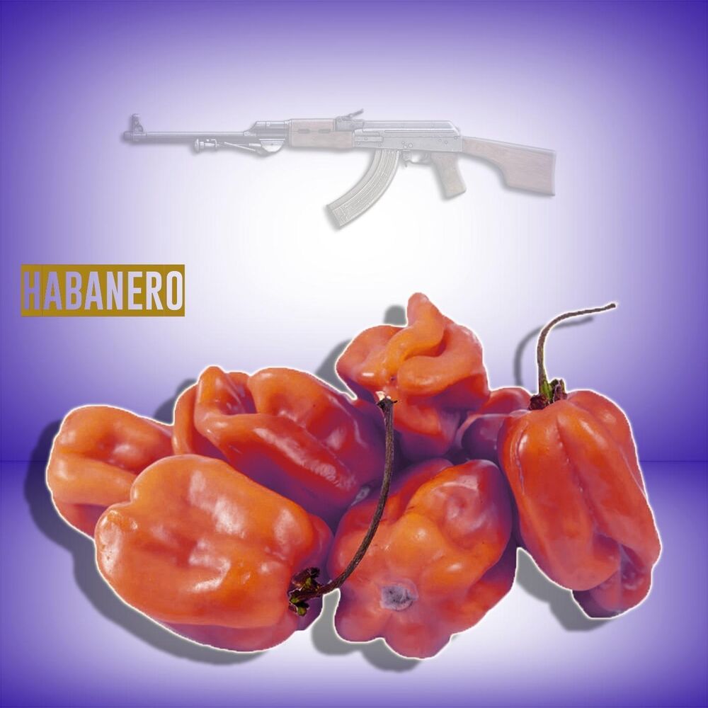 Picture of Habanero