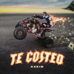 Cover of Te Costeo