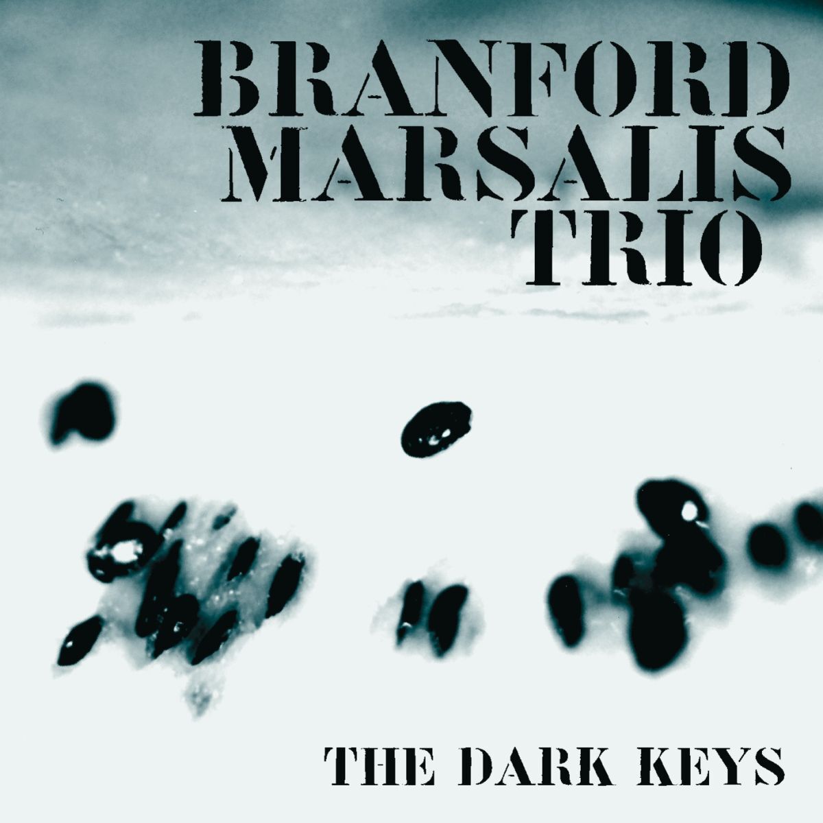 Album cover of THE DARK KEYS
