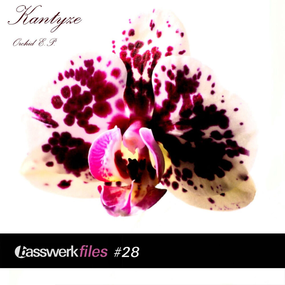 Picture of Basswerk Files #028 Orchid EP