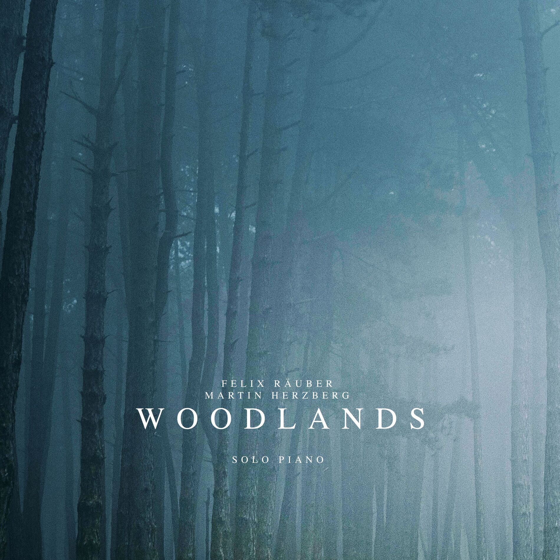 Album cover of Woodlands