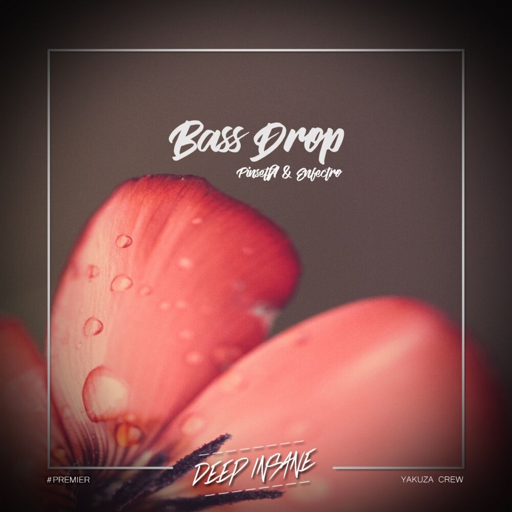 Picture of Bass Drop