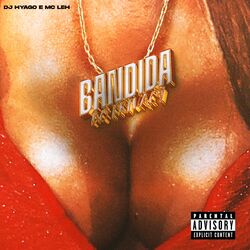 Cover of Bandida do Privacy