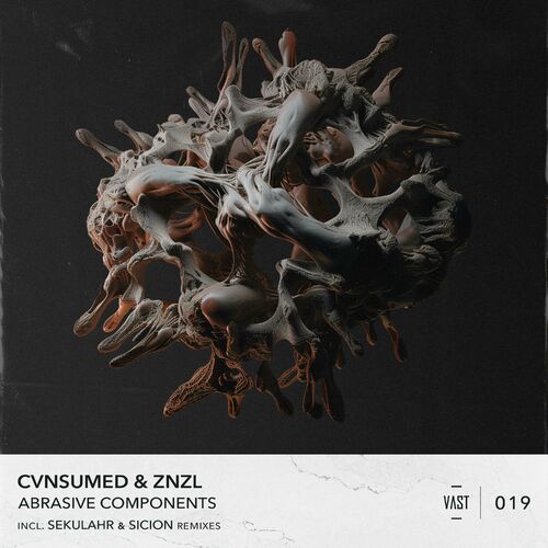  CVNSUMED And Znzl - Abrasive Components (2024) 