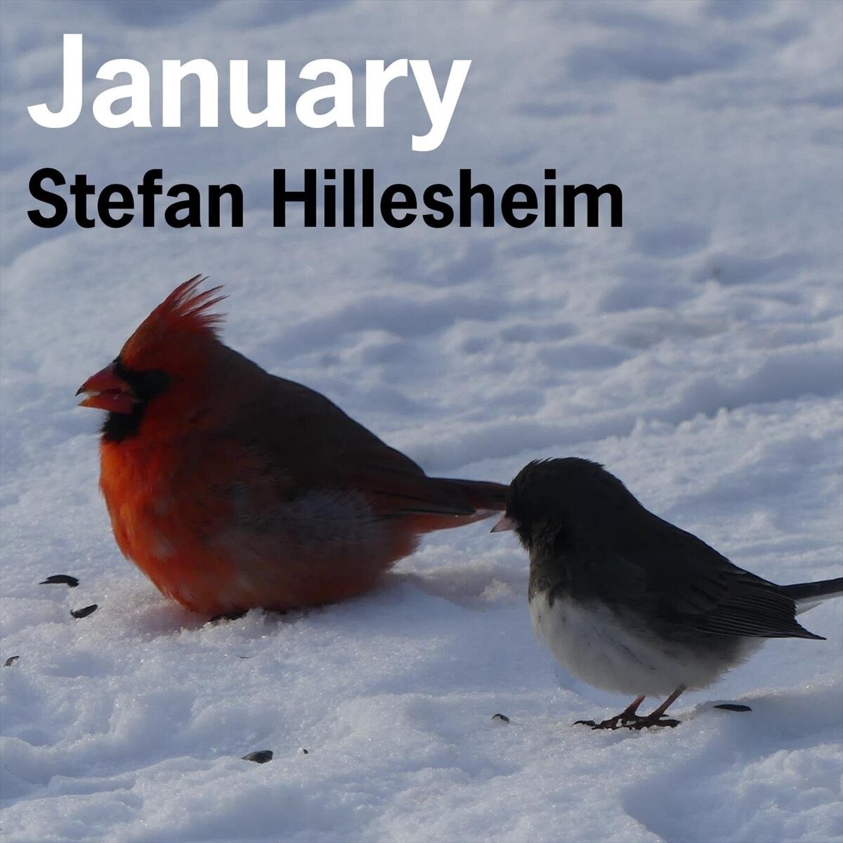 Album cover of January