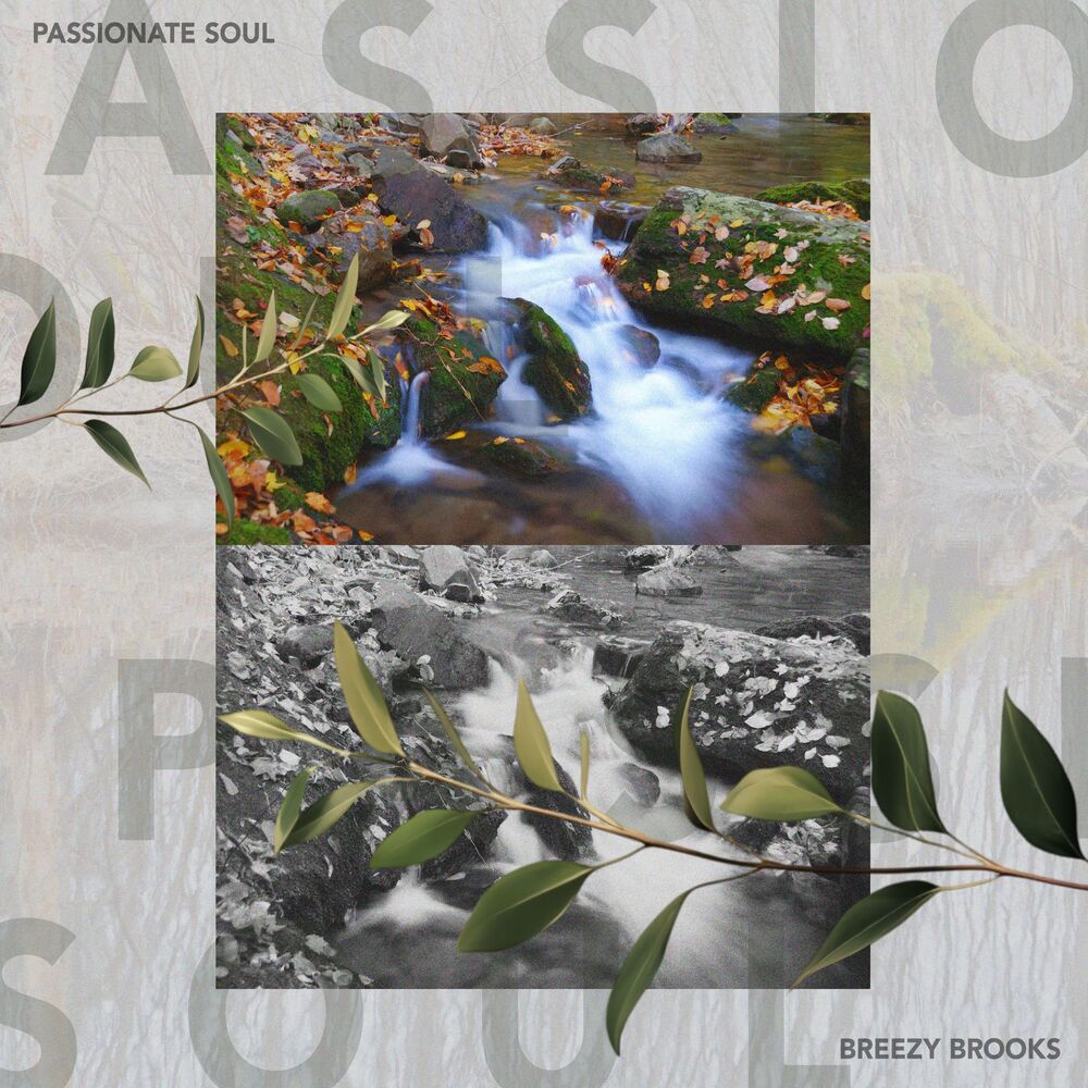 Picture of Passionate Soul