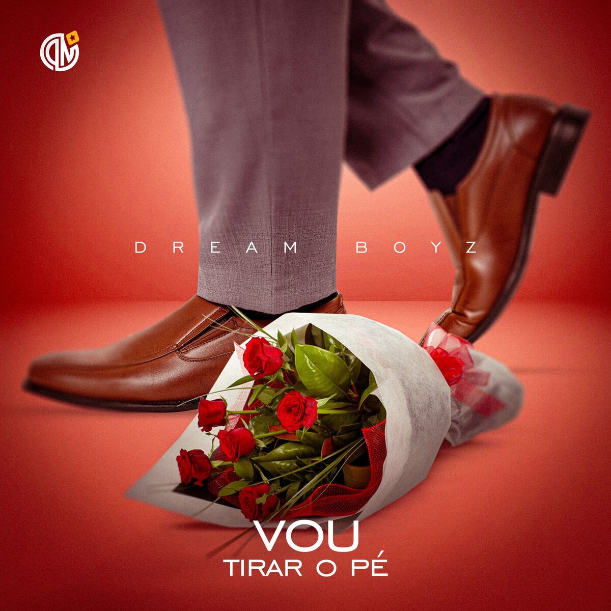 Album cover of Vou Tirar O Pé