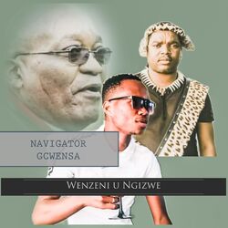 Cover of Wenzeni U Ngizwe