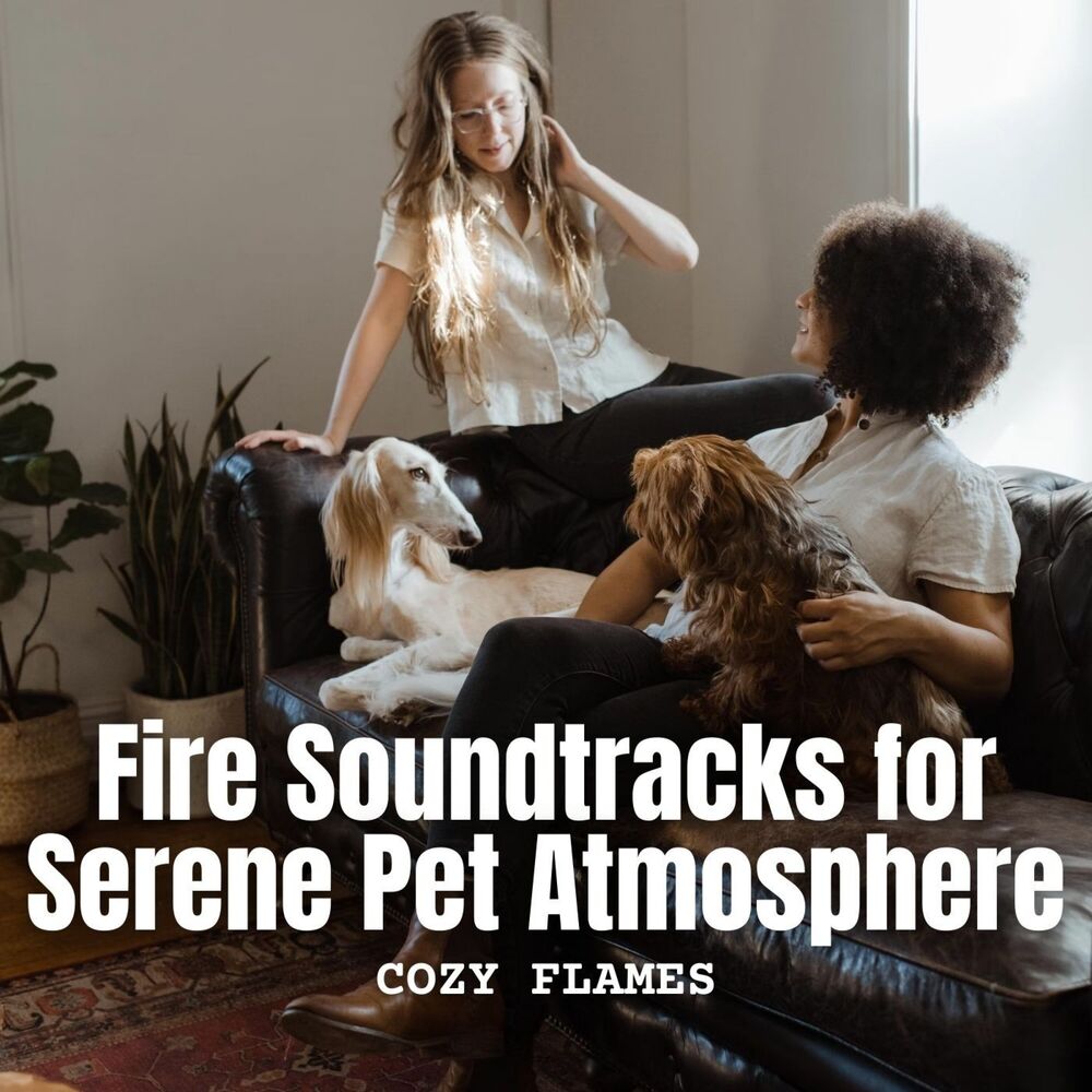 Picture of Cozy Flames: Fire Soundtracks for Serene Pet Atmosphere