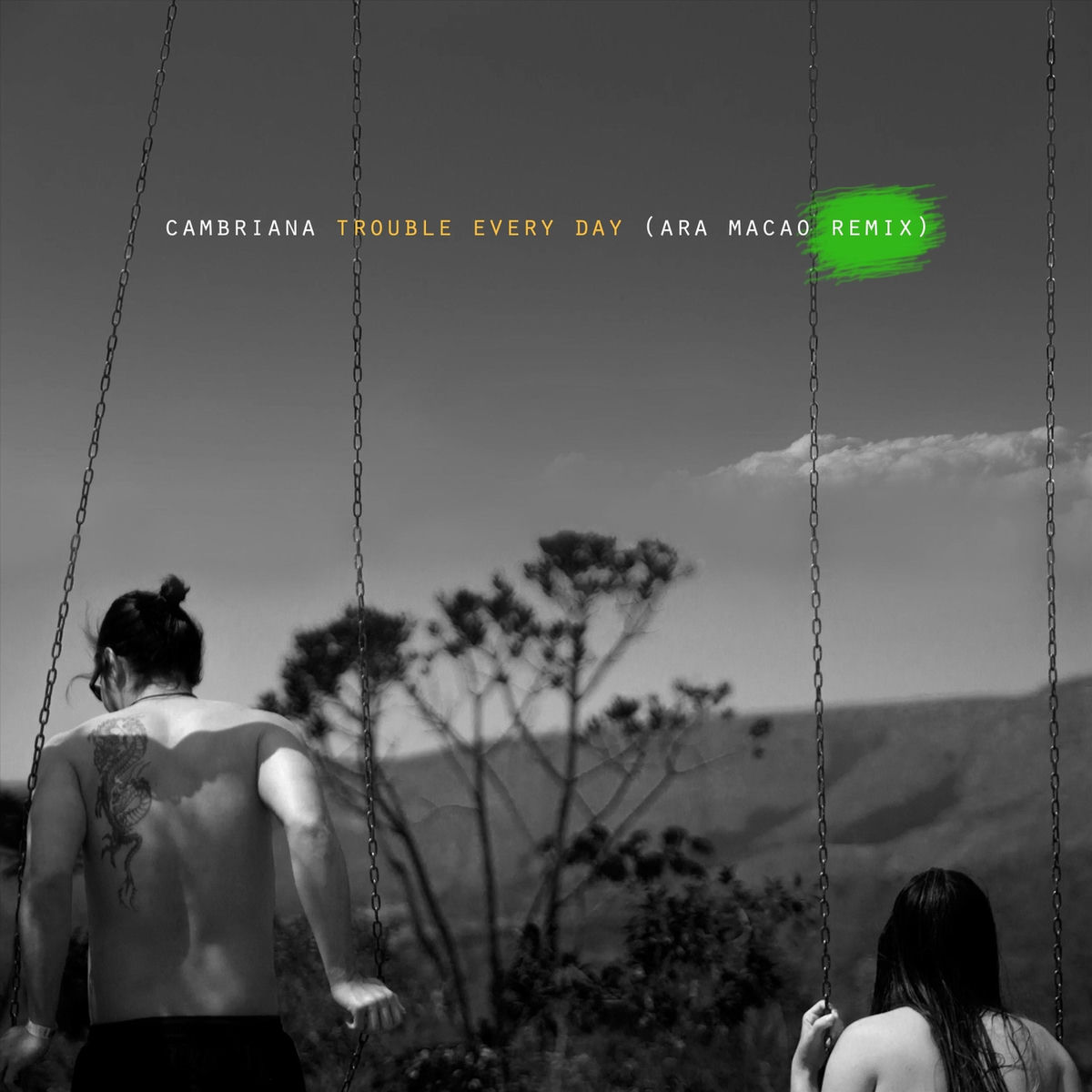 Album cover of Trouble Every Day (Ara Macao Remix)