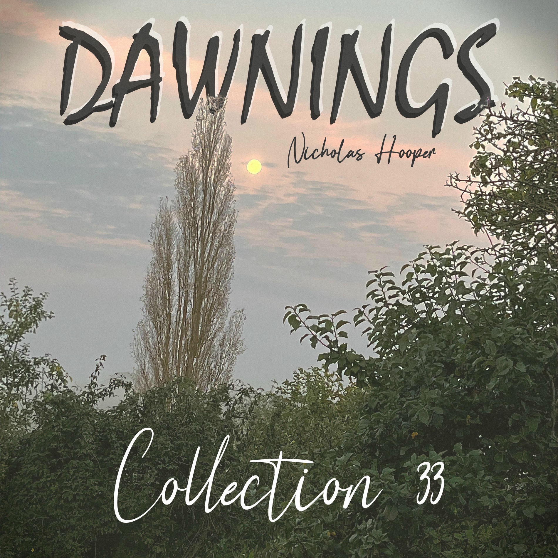 Album cover of Dawnings: Collection 33