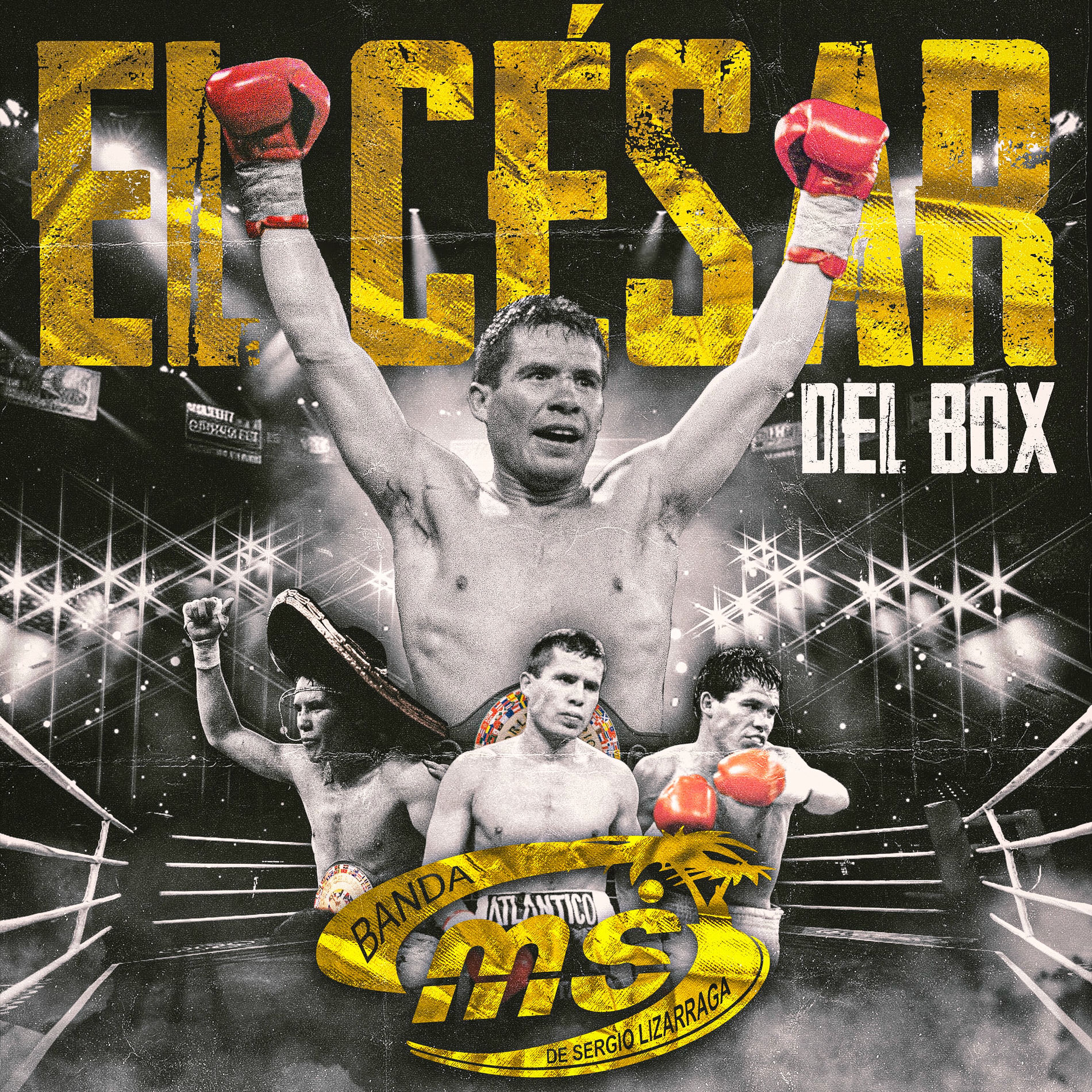 Album picture of El César del Box