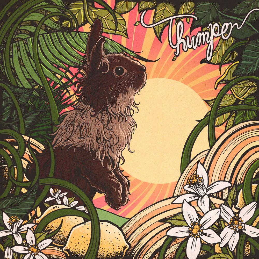 Pochette du titre Thumper