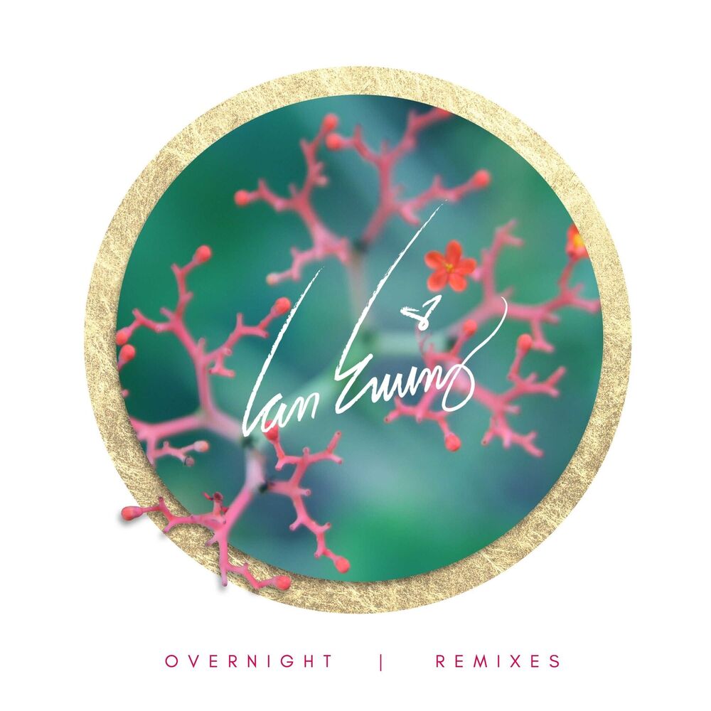 Picture of Overnight Remixes