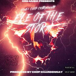 Cover of Eye Of The Storm