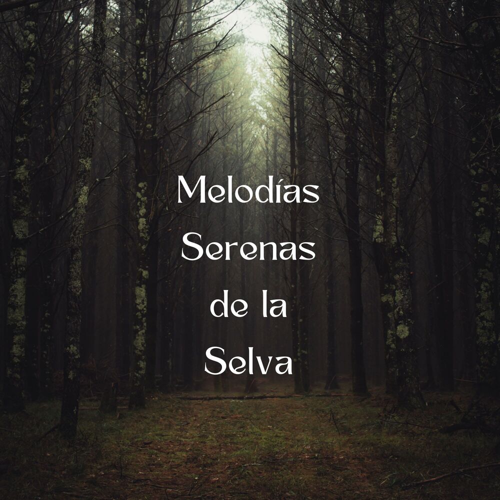 Picture of Melodías Serenas De La Selva
