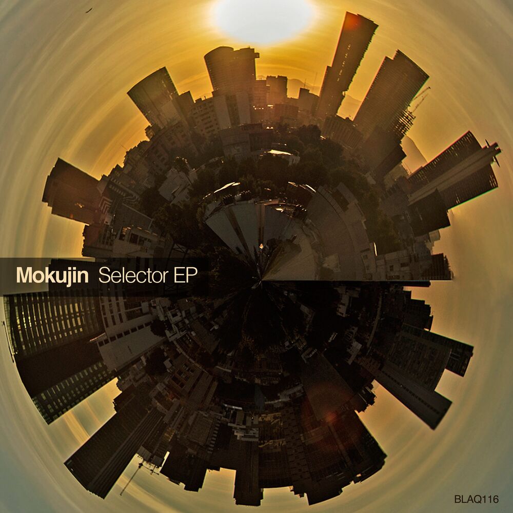 Picture of Selector EP